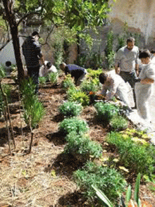 Giardino biologico a scuola