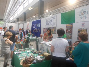 fiera2