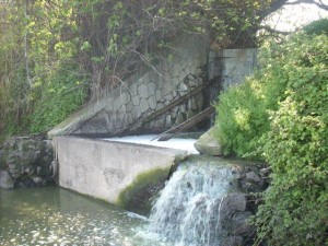 Percorso vasca depuratore