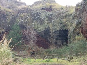 Area Carcavone, conetti vulcanici