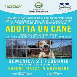 10268720_955271297855714_2106334601413416601_n