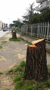 Via_Petrarca_Marciapiedi_2