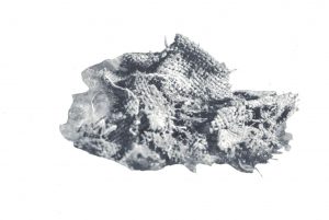 canapa