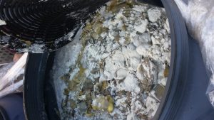 nas-1-condizioni-vergognose-fabbrica-di-alimenti-e-conserve