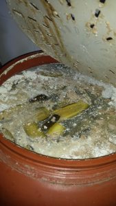 nas-3-condizioni-vergognose-fabbrica-di-alimenti-e-conserve