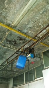 nas-5-condizioni-vergognose-fabbrica-di-alimenti-e-conserve